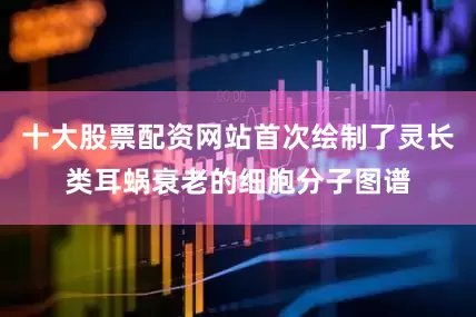 十大股票配资网站首次绘制了灵长类耳蜗衰老的细胞分子图谱