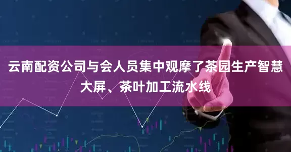 云南配资公司与会人员集中观摩了茶园生产智慧大屏、茶叶加工流水线