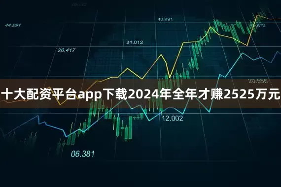 十大配资平台app下载2024年全年才赚2525万元
