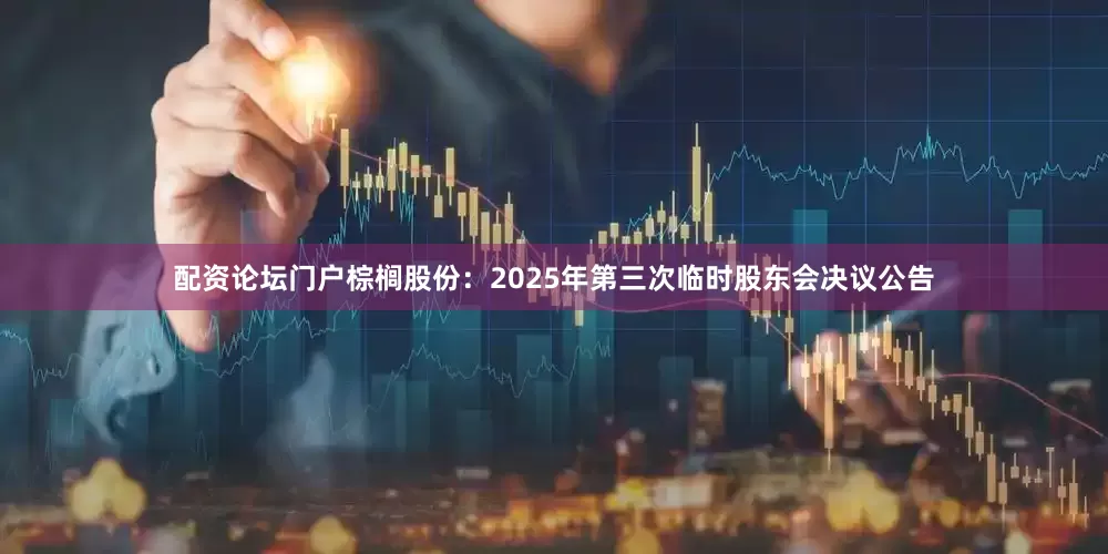 配资论坛门户棕榈股份：2025年第三次临时股东会决议公告